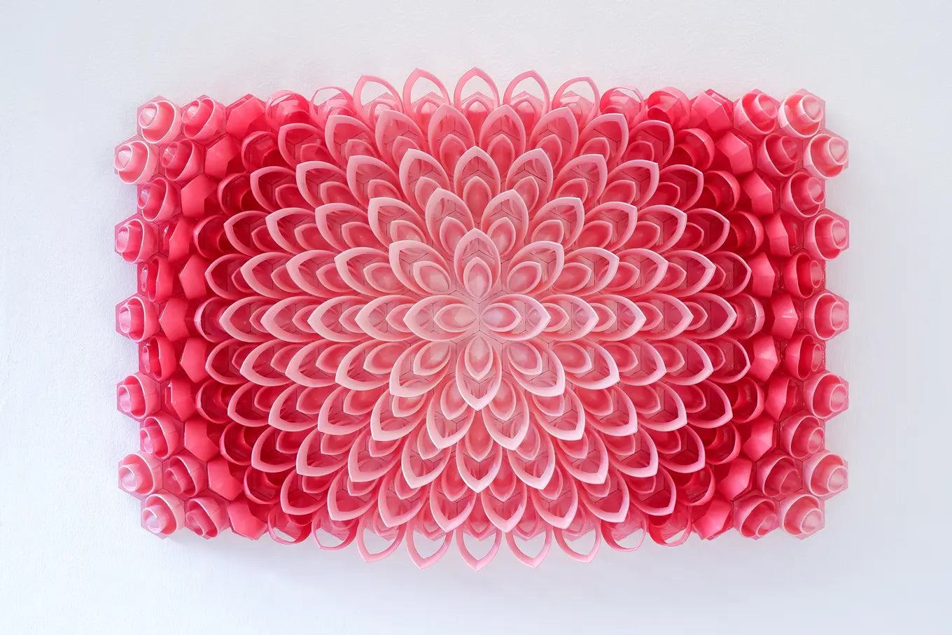 Pink Lotus