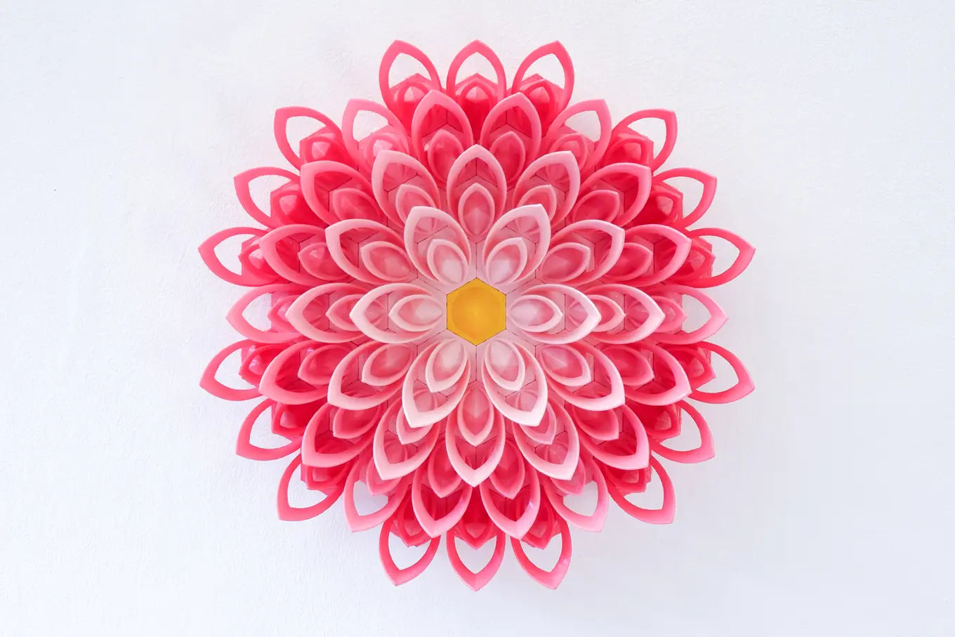 Small Pink Lotus