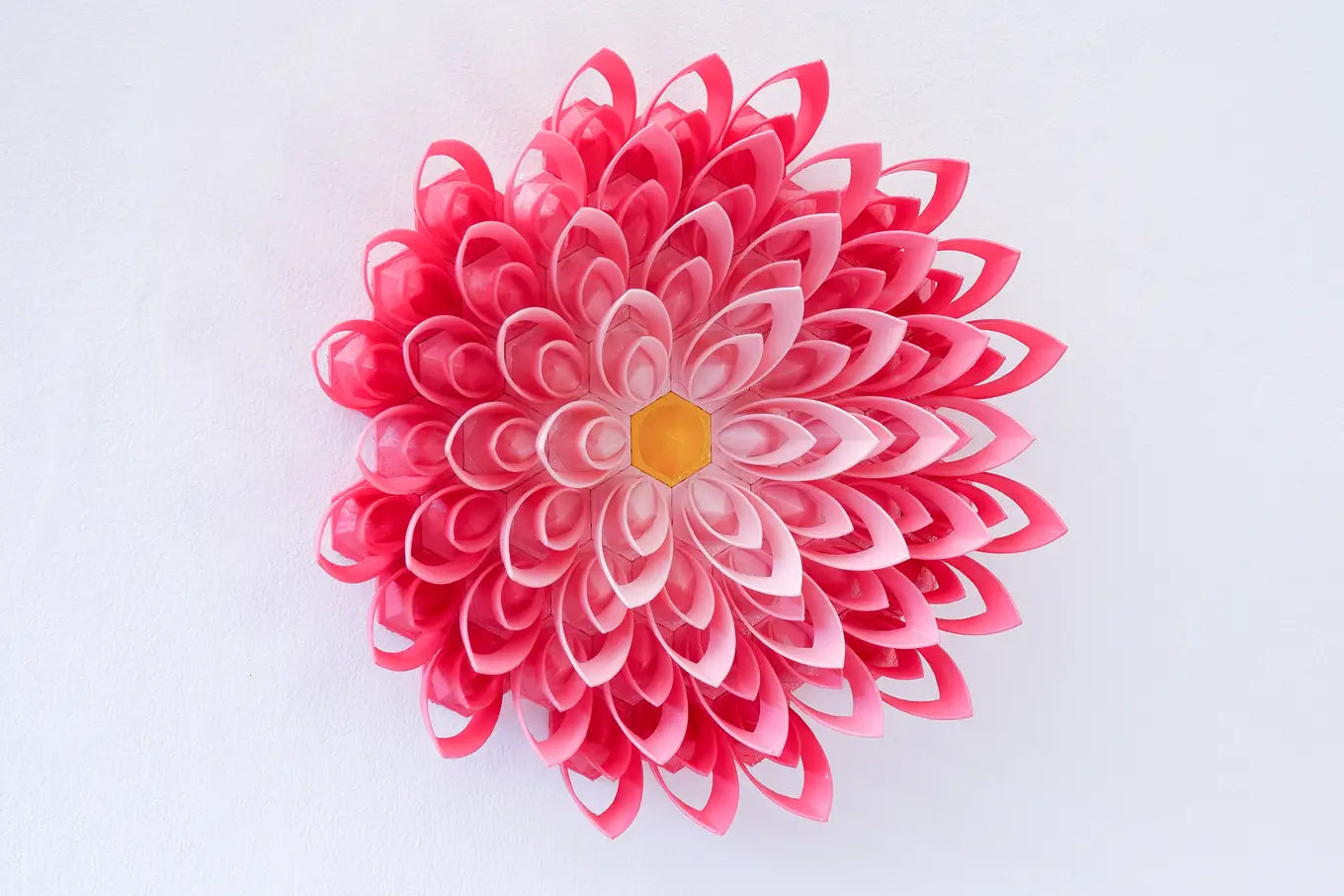 Small Pink Lotus