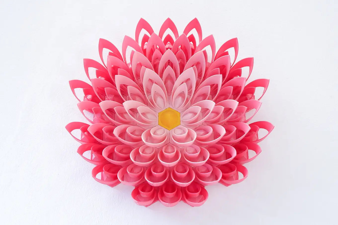 Small Pink Lotus