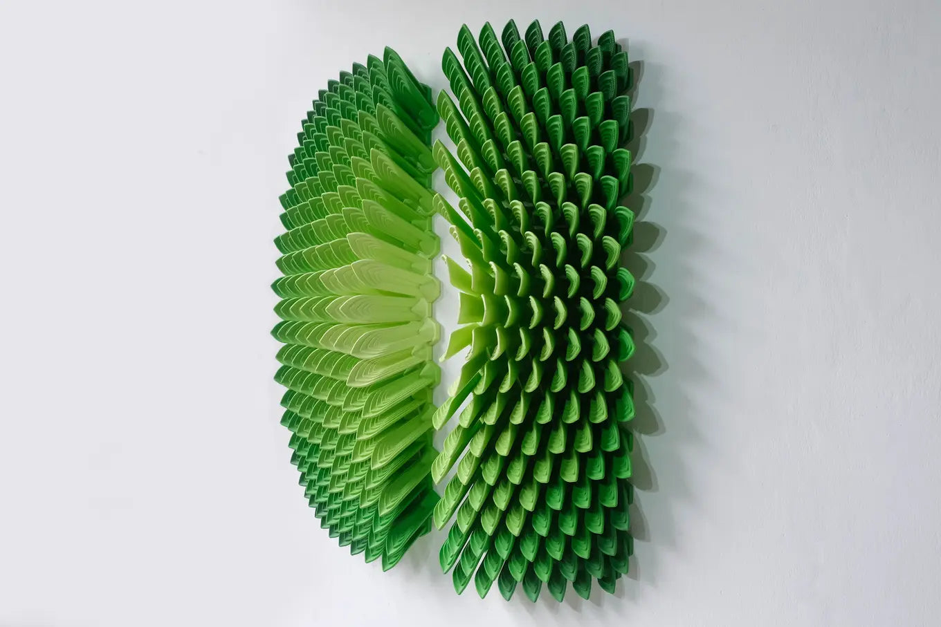 Leafy Burst