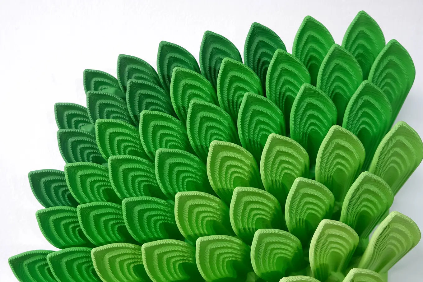Leafy Burst