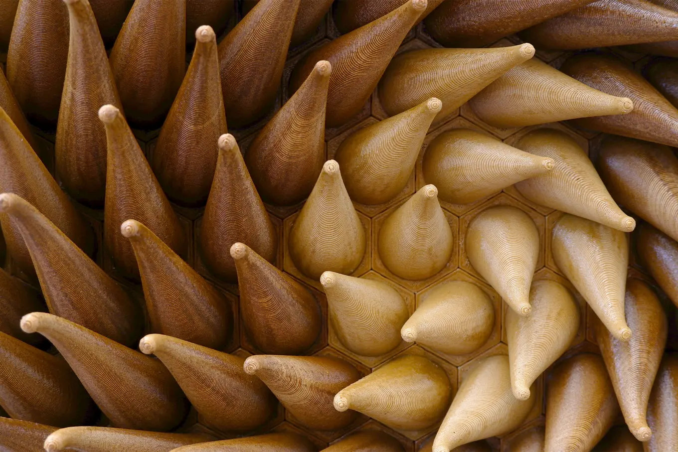Wooden Twisted Tentacles