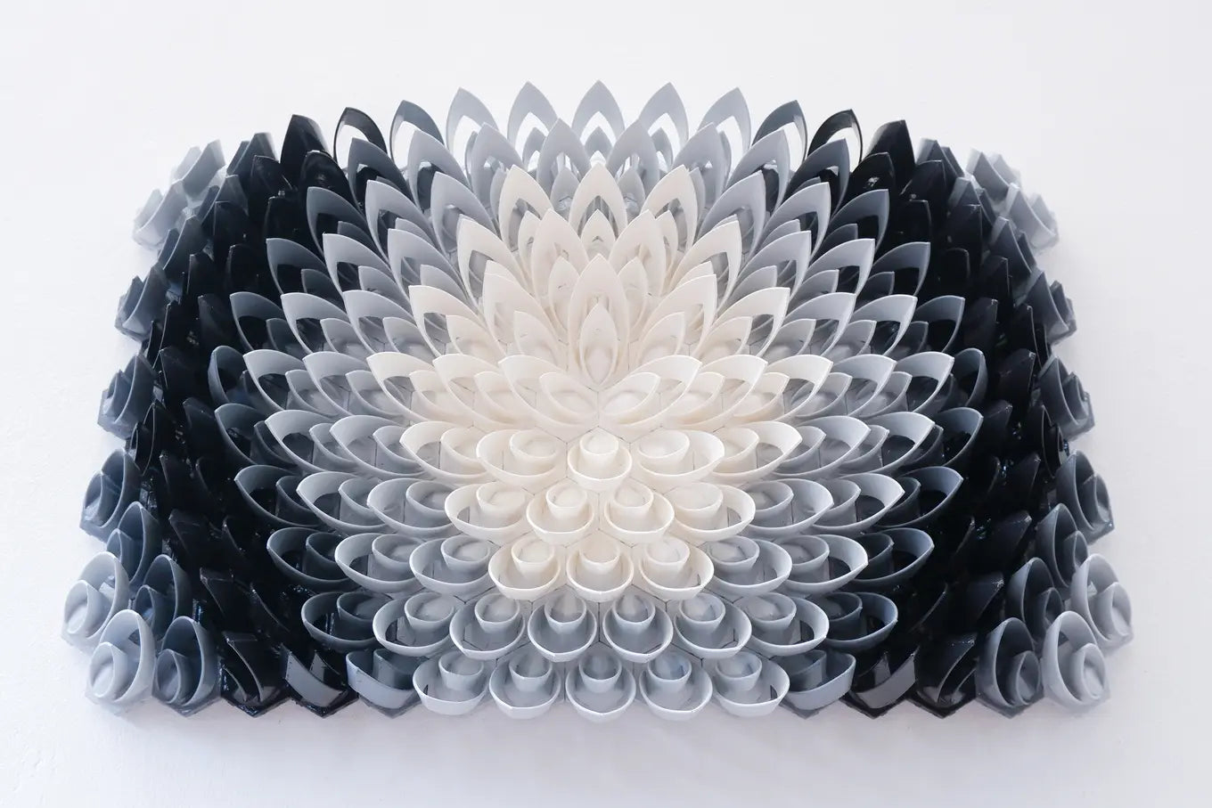 Black Lotus
