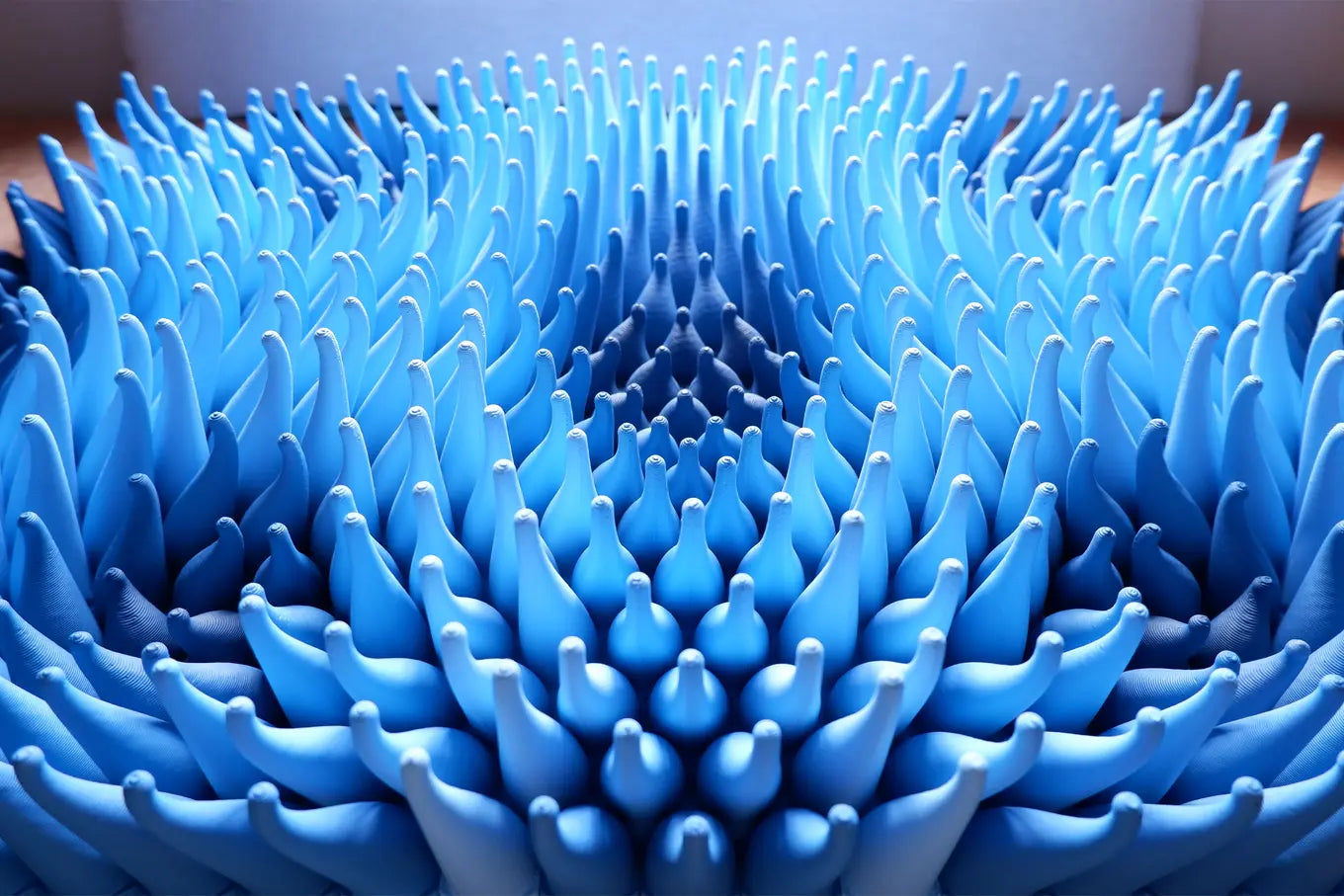 Vortices