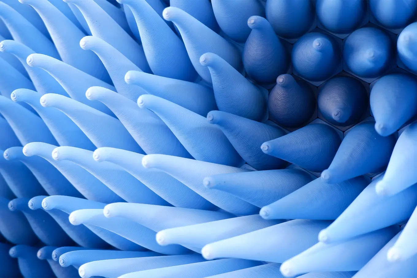 Vortices