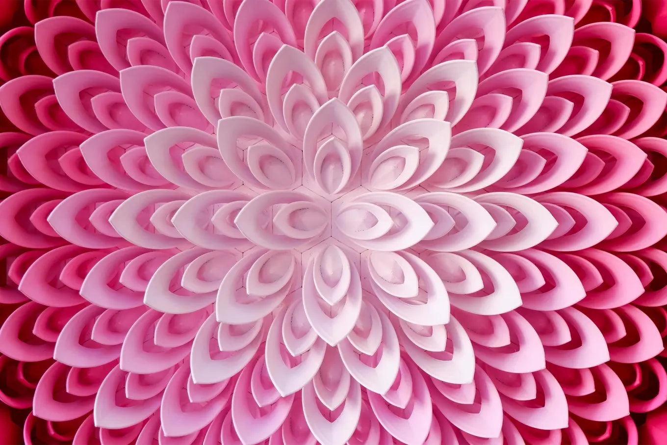 Pink Lotus II
