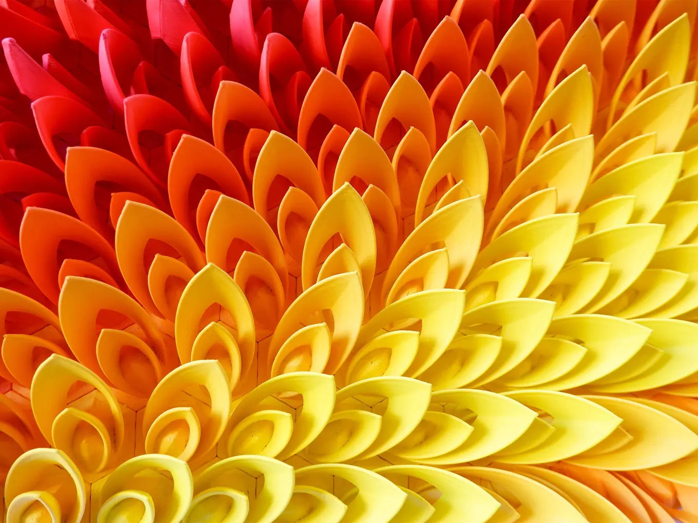 Fire Lotus