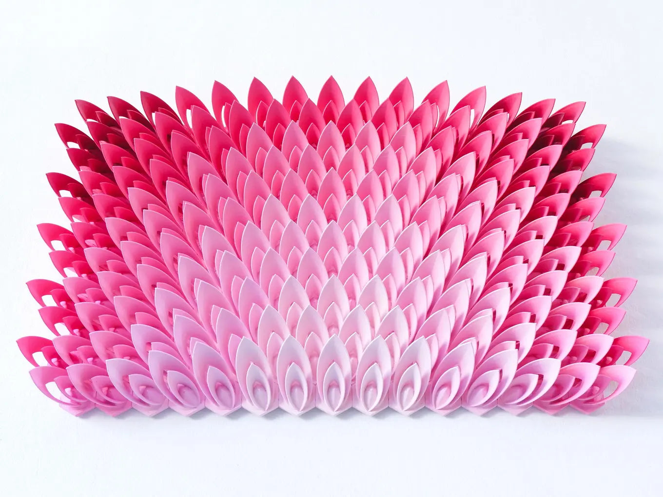 Flourshing Lotus