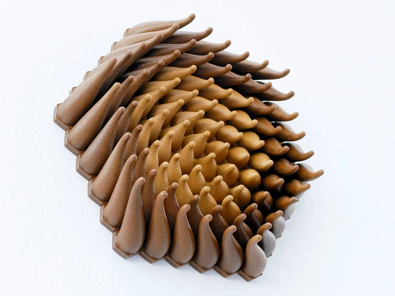 Wooden Vortex Sprouts