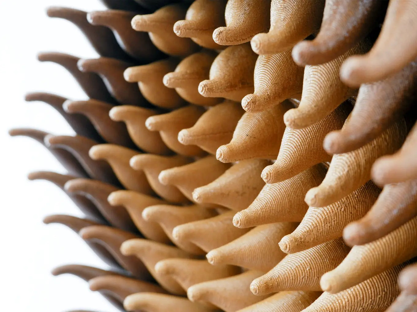Wooden Vortex Sprouts