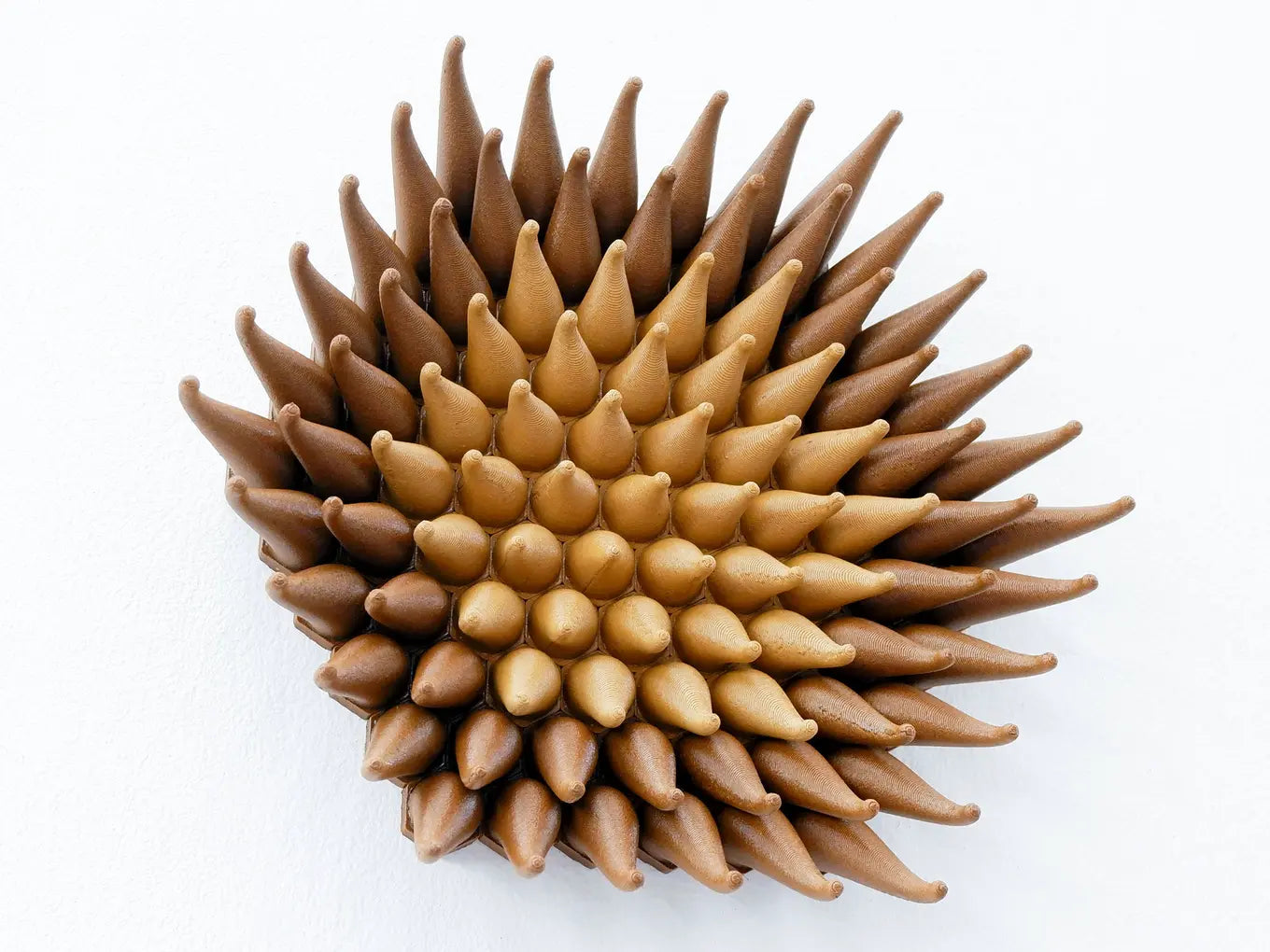 Wooden Blossom Sprouts