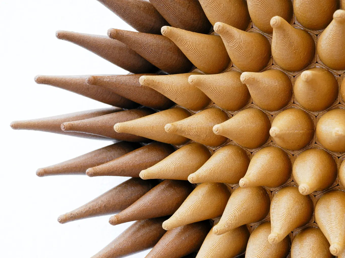 Wooden Blossom Sprouts