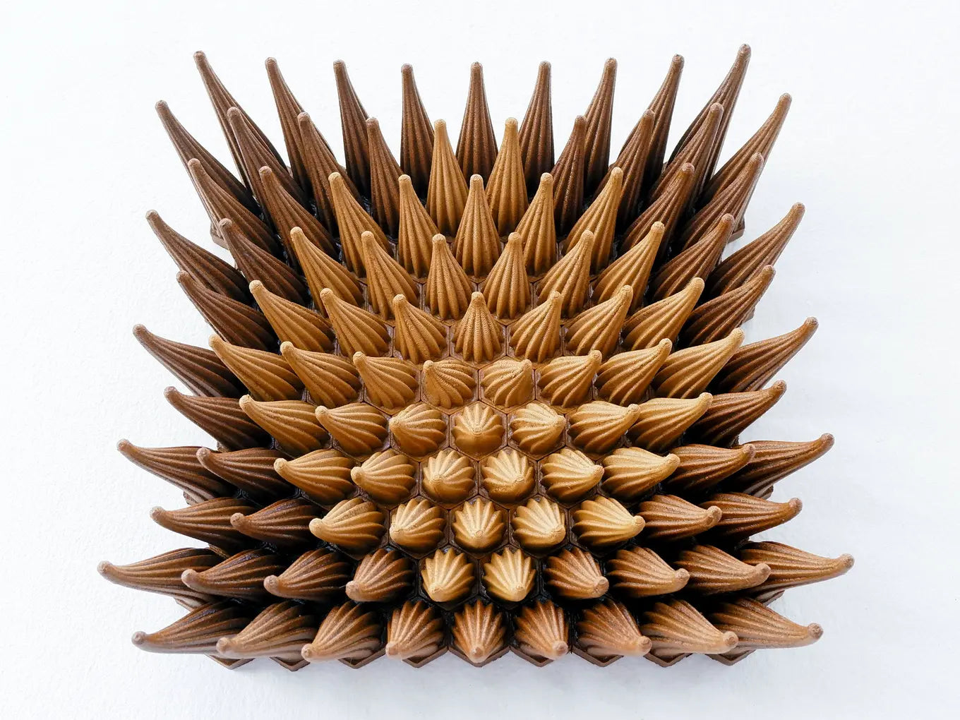 Wooden Sunshine Sprouts