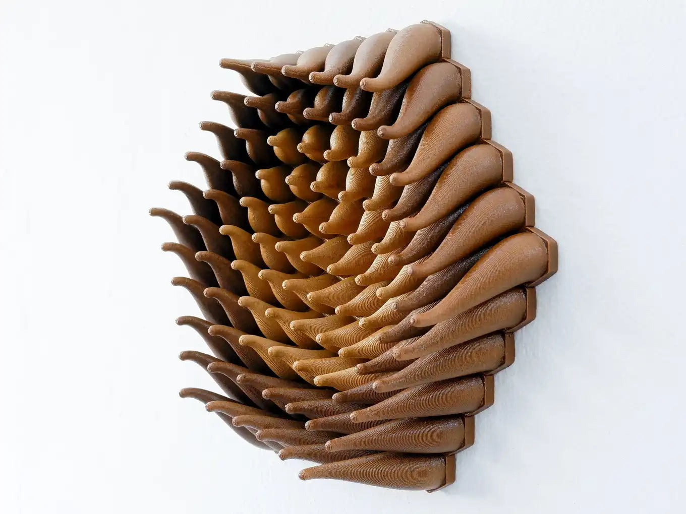 Wooden Vortex Sprouts