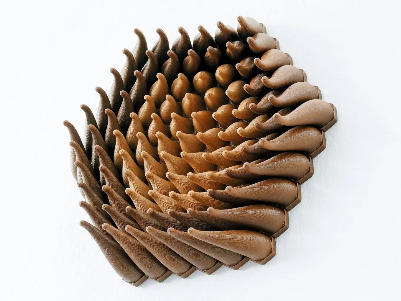 Wooden Vortex Sprouts