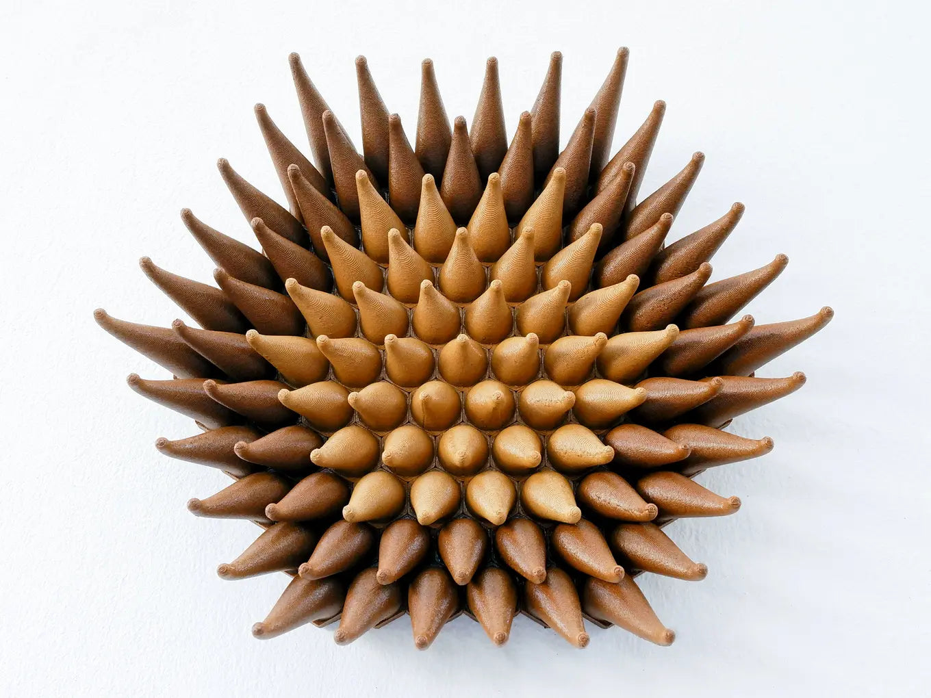 Wooden Blossom Sprouts