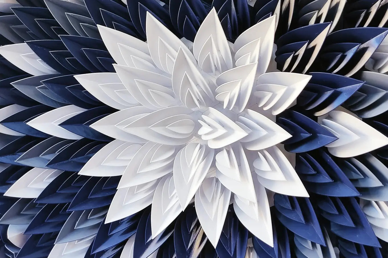 Mourning Flower