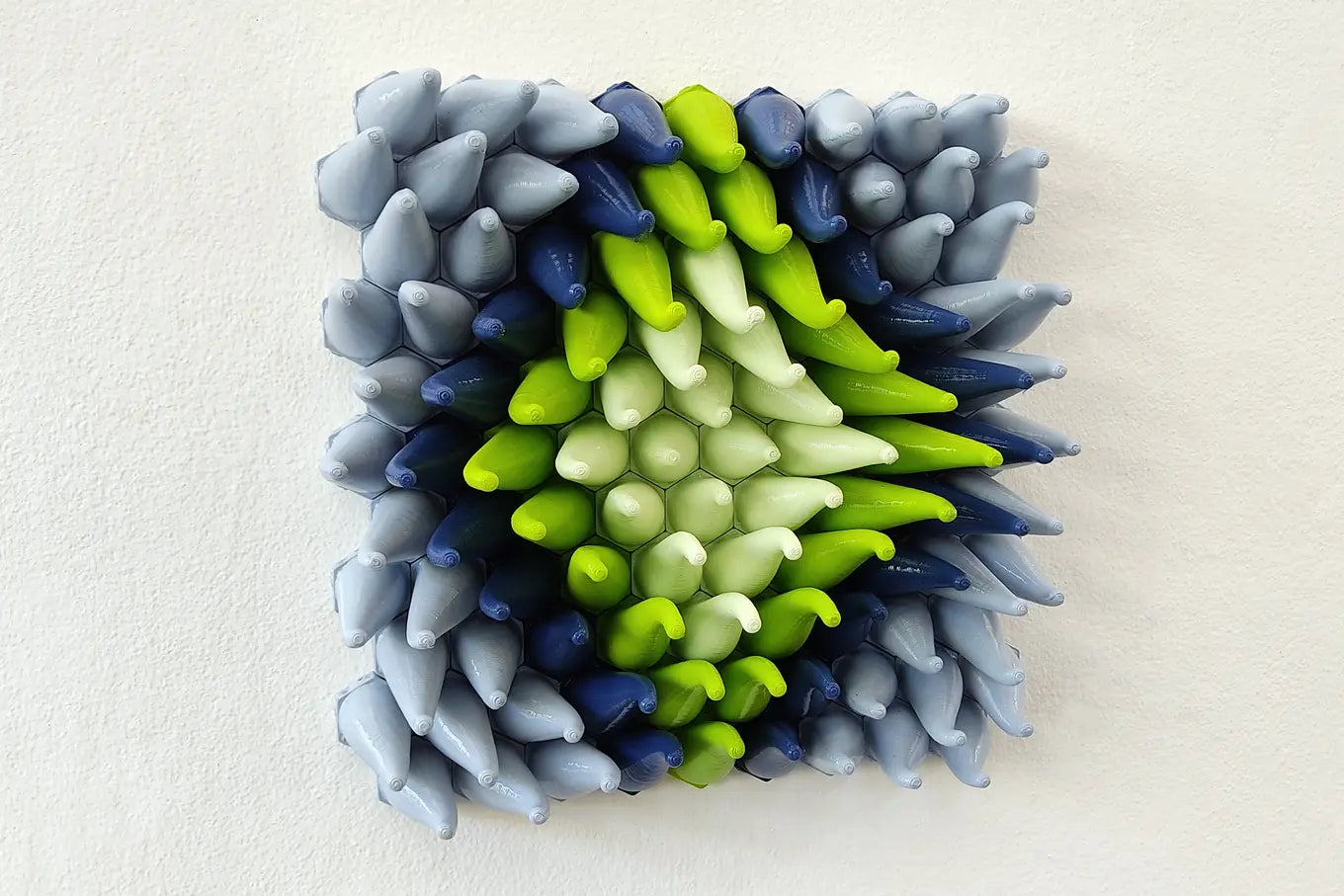 Coral Sprouts