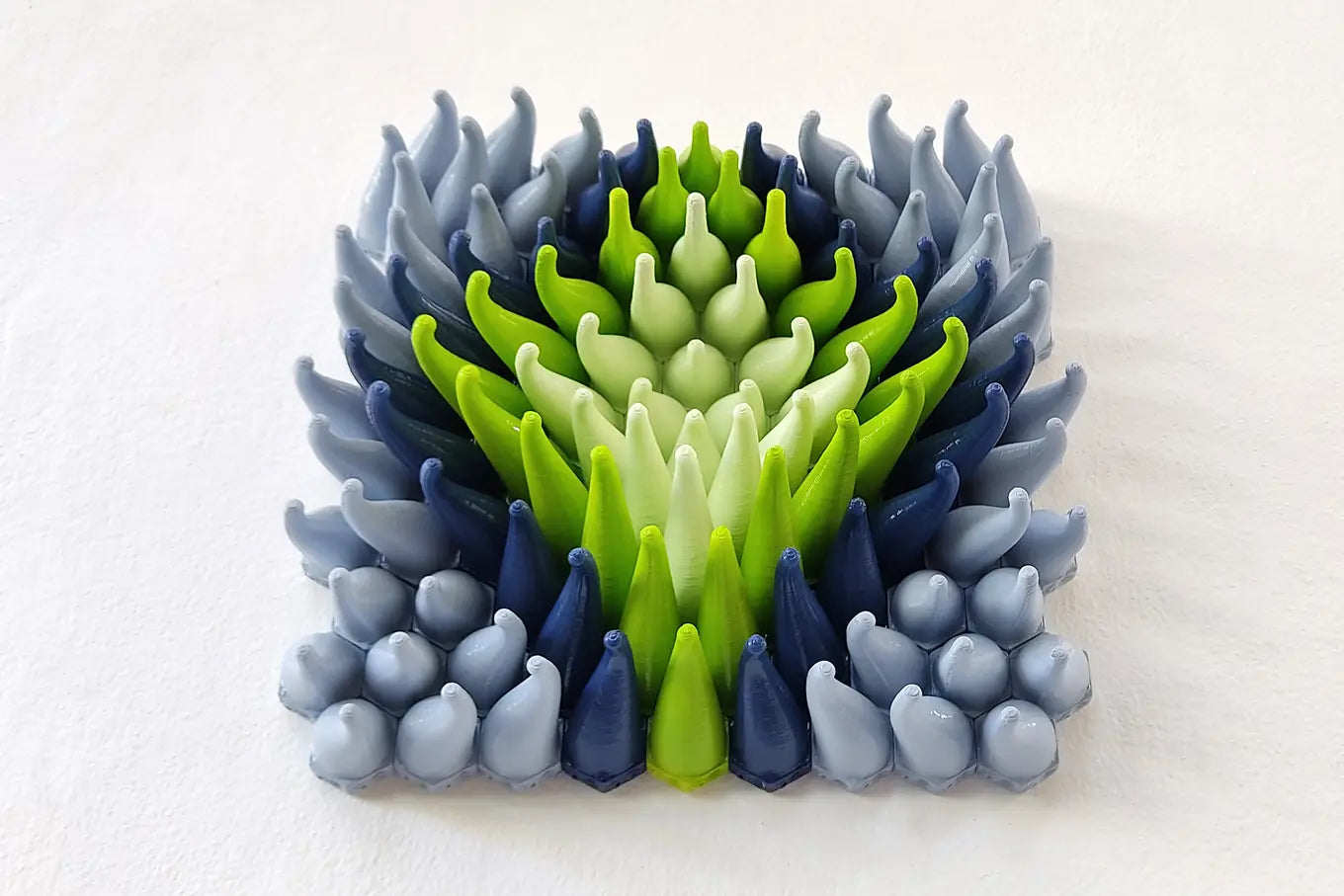 Coral Sprouts