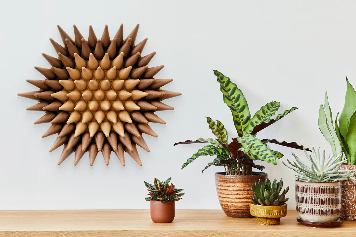 Wooden Blossom Sprouts
