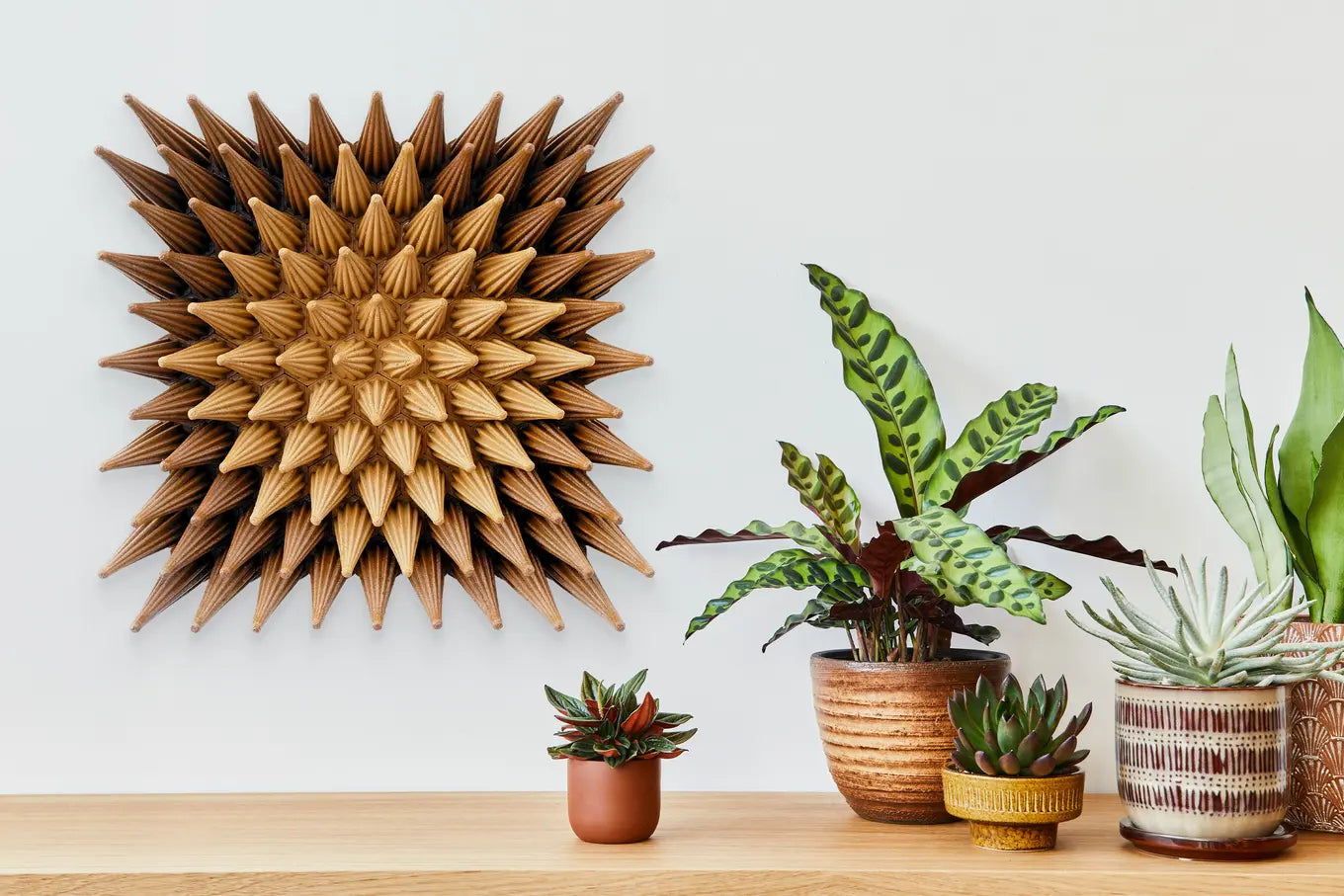 Wooden Sunshine Sprouts