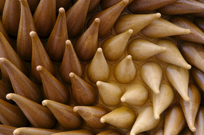 Wooden Twisted Tentacles