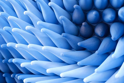Vortices