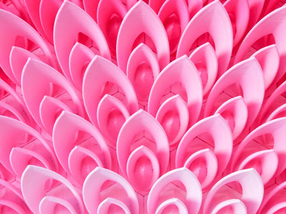 Flourshing Lotus