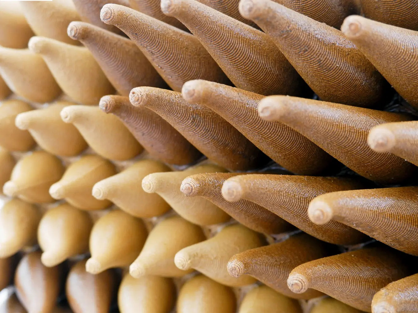 Wooden Sweepy Sprouts