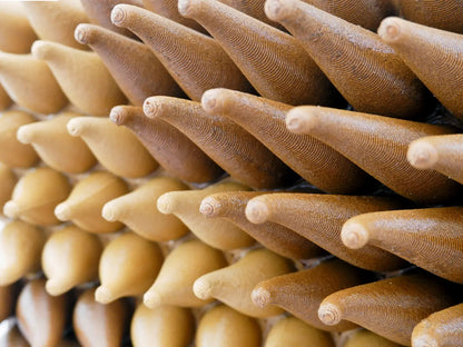 Wooden Sweepy Sprouts