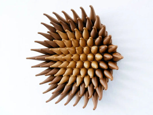 Wooden Blossom Sprouts
