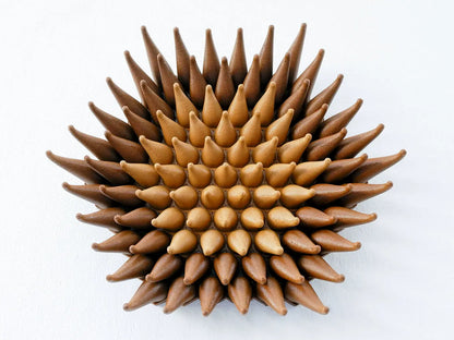 Wooden Blossom Sprouts