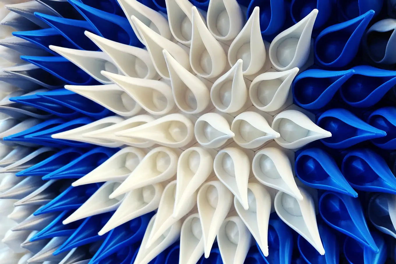 Winter Star