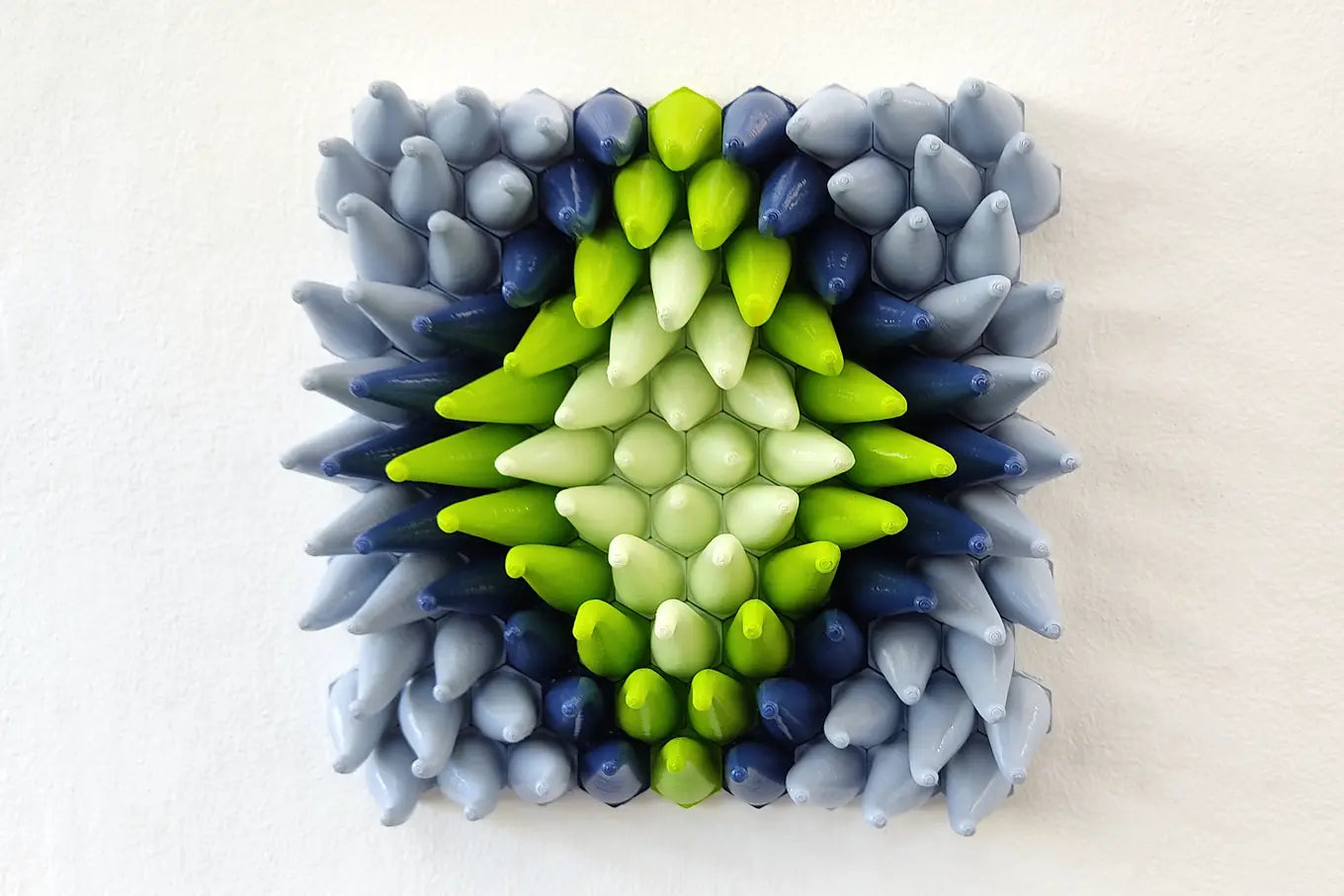 Coral Sprouts