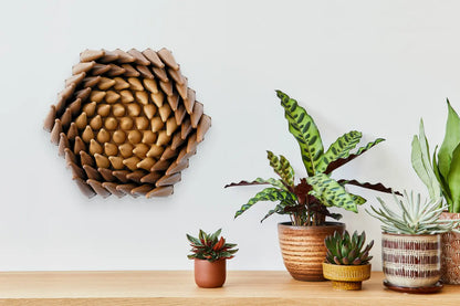 Wooden Vortex Sprouts